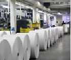 Paper Grade Bentonite